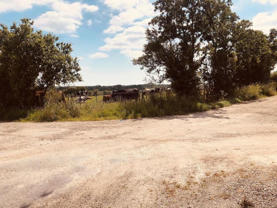 Maison De Campagne Proche De La Cote Chauvé Exterior foto